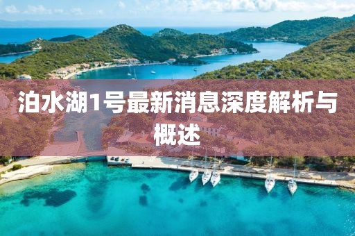 泊水湖1號最新消息深度解析與概述