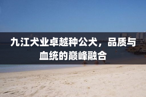 九江犬業(yè)卓越種公犬，品質(zhì)與血統(tǒng)的巔峰融合
