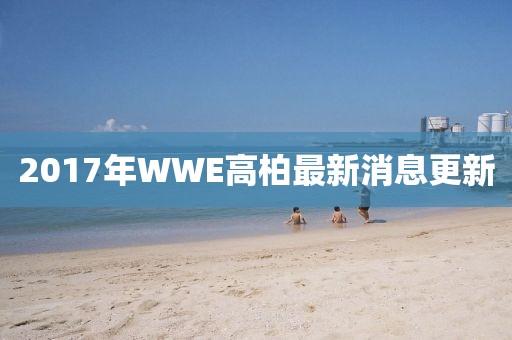 2017年WWE高柏最新消息更新