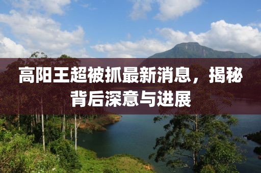 高陽(yáng)王超被抓最新消息，揭秘背后深意與進(jìn)展