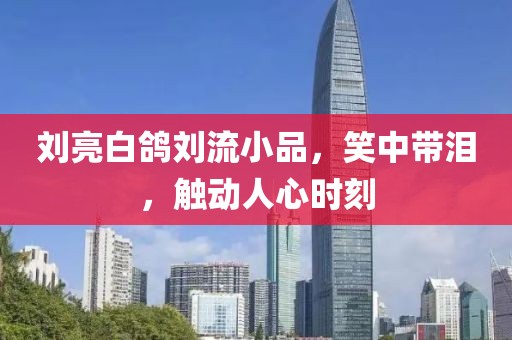 劉亮白鴿劉流小品，笑中帶淚，觸動(dòng)人心時(shí)刻