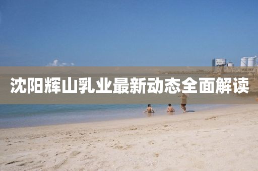 沈陽(yáng)輝山乳業(yè)最新動(dòng)態(tài)全面解讀