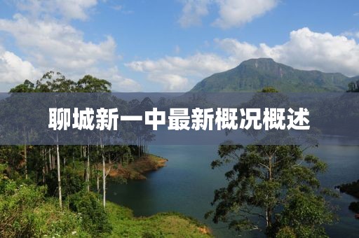 聊城新一中最新概況概述
