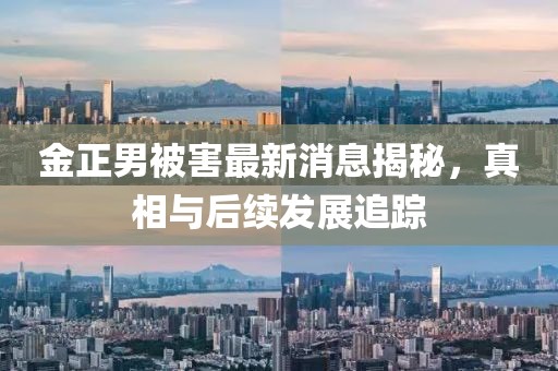 金正男被害最新消息揭秘，真相與后續(xù)發(fā)展追蹤