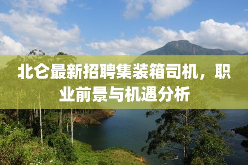 北侖最新招聘集裝箱司機(jī)，職業(yè)前景與機(jī)遇分析