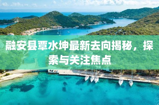 融安縣覃水坤最新去向揭秘，探索與關(guān)注焦點(diǎn)