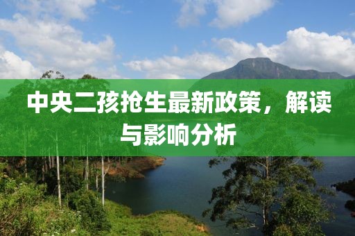 中央二孩搶生最新政策，解讀與影響分析