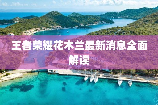 王者榮耀花木蘭最新消息全面解讀