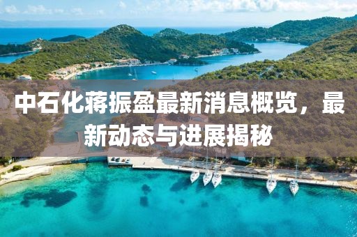 中石化蔣振盈最新消息概覽，最新動態(tài)與進(jìn)展揭秘
