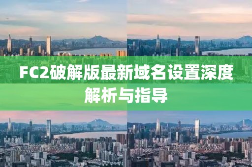 FC2破解版最新域名設(shè)置深度解析與指導(dǎo)