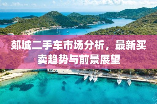 郯城二手車市場(chǎng)分析，最新買賣趨勢(shì)與前景展望