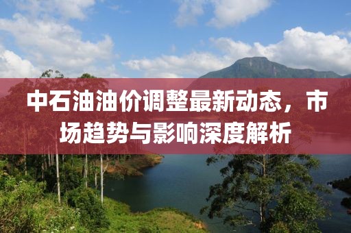 中石油油價調(diào)整最新動態(tài)，市場趨勢與影響深度解析