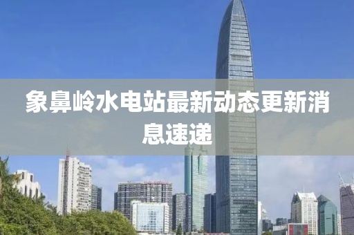 象鼻嶺水電站最新動(dòng)態(tài)更新消息速遞