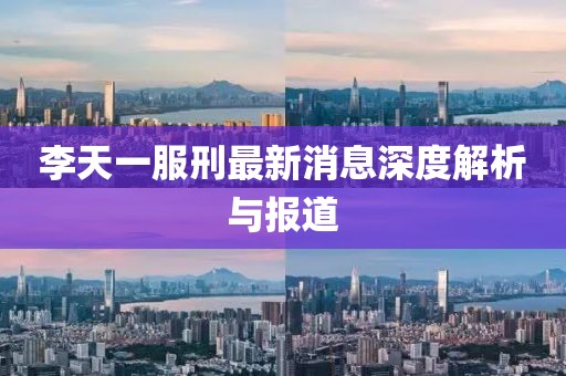 李天一服刑最新消息深度解析與報道
