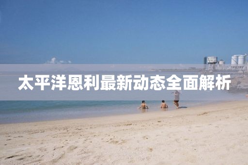 太平洋恩利最新動態(tài)全面解析