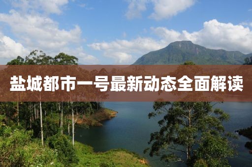 鹽城都市一號最新動態(tài)全面解讀