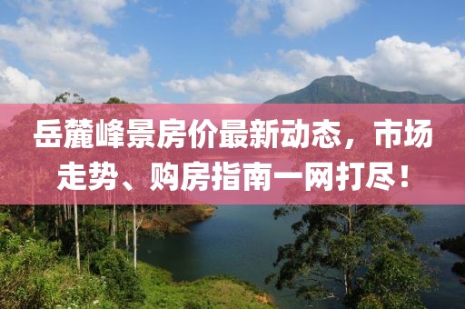 岳麓峰景房價最新動態(tài)，市場走勢、購房指南一網(wǎng)打盡！