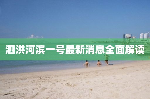 泗洪河濱一號最新消息全面解讀