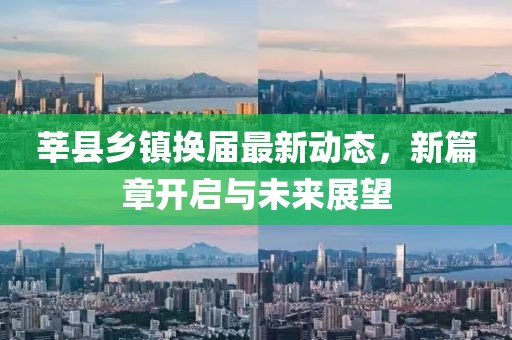 莘縣鄉(xiāng)鎮(zhèn)換屆最新動態(tài)，新篇章開啟與未來展望