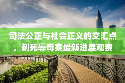 司法公正與社會正義的交匯點，刺死辱母案最新進(jìn)展觀察