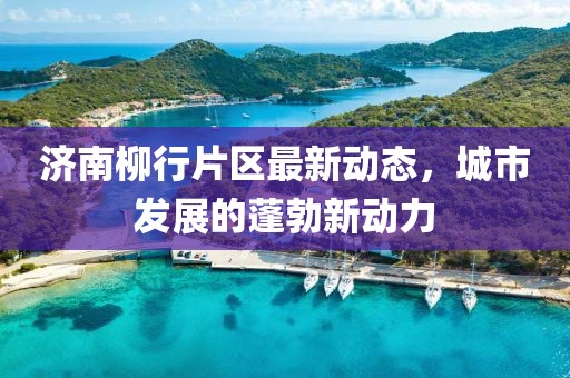濟南柳行片區(qū)最新動態(tài)，城市發(fā)展的蓬勃新動力