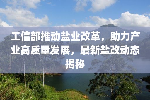 工信部推動鹽業(yè)改革，助力產(chǎn)業(yè)高質(zhì)量發(fā)展，最新鹽改動態(tài)揭秘