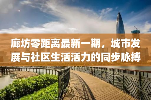 廊坊零距離最新一期，城市發(fā)展與社區(qū)生活活力的同步脈搏