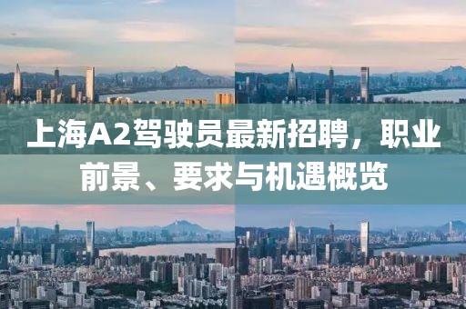上海A2駕駛員最新招聘，職業(yè)前景、要求與機遇概覽
