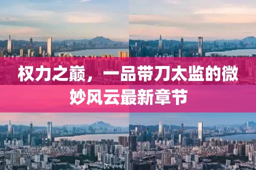 權(quán)力之巔，一品帶刀太監(jiān)的微妙風(fēng)云最新章節(jié)
