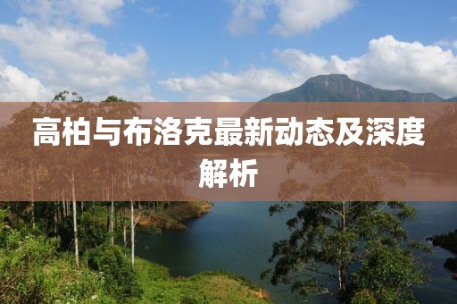 高柏與布洛克最新動(dòng)態(tài)及深度解析