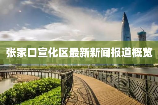 張家口宣化區(qū)最新新聞報(bào)道概覽