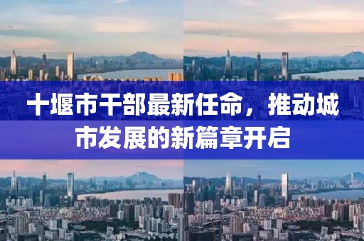 十堰市干部最新任命，推動(dòng)城市發(fā)展的新篇章開啟