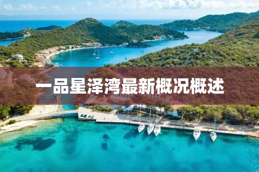 一品星澤灣最新概況概述