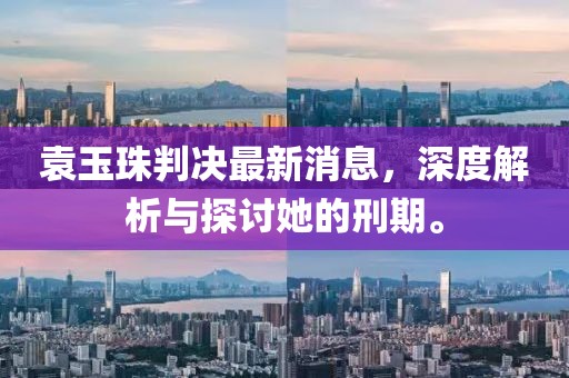 袁玉珠判決最新消息，深度解析與探討她的刑期。