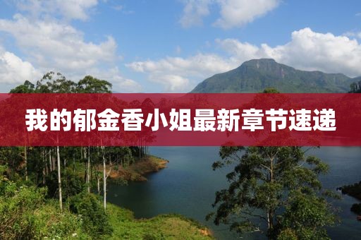 我的郁金香小姐最新章節(jié)速遞