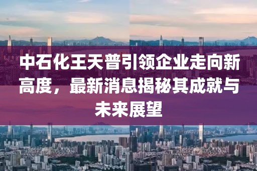 中石化王天普引領(lǐng)企業(yè)走向新高度，最新消息揭秘其成就與未來展望