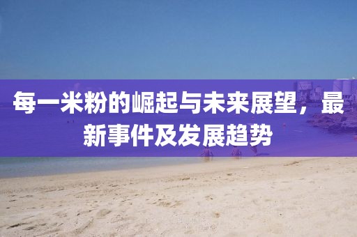 每一米粉的崛起與未來展望，最新事件及發(fā)展趨勢