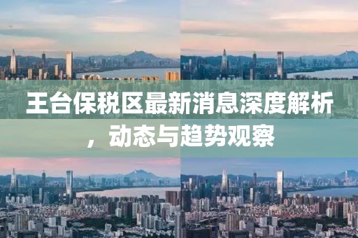 王臺(tái)保稅區(qū)最新消息深度解析，動(dòng)態(tài)與趨勢觀察