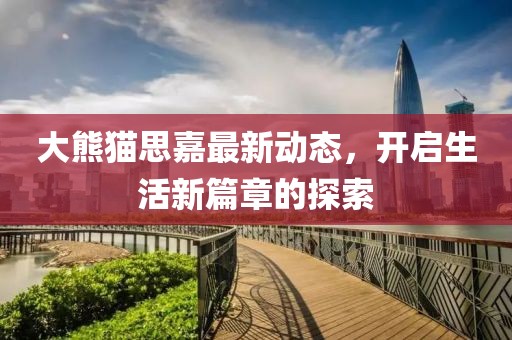 大熊貓思嘉最新動態(tài)，開啟生活新篇章的探索