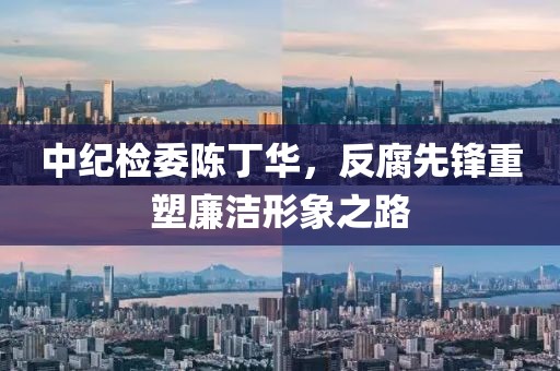 中紀(jì)檢委陳丁華，反腐先鋒重塑廉潔形象之路