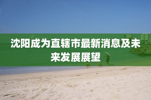 沈陽成為直轄市最新消息及未來發(fā)展展望