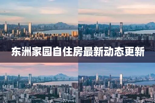 東洲家園自住房最新動態(tài)更新