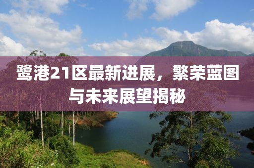 鷺港21區(qū)最新進展，繁榮藍圖與未來展望揭秘
