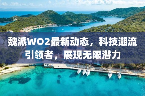 魏派WO2最新動態(tài)，科技潮流引領者，展現無限潛力