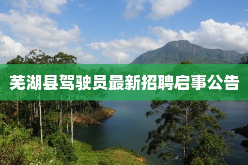蕪湖縣駕駛員最新招聘啟事公告