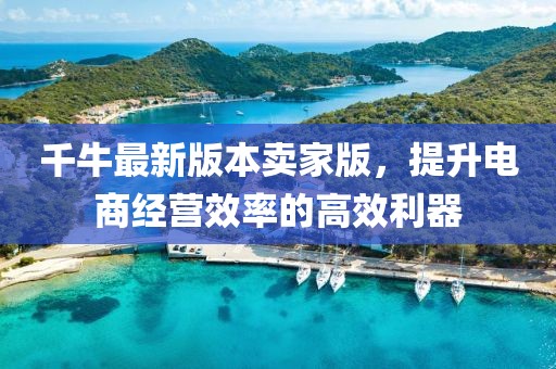 千牛最新版本賣家版，提升電商經(jīng)營(yíng)效率的高效利器