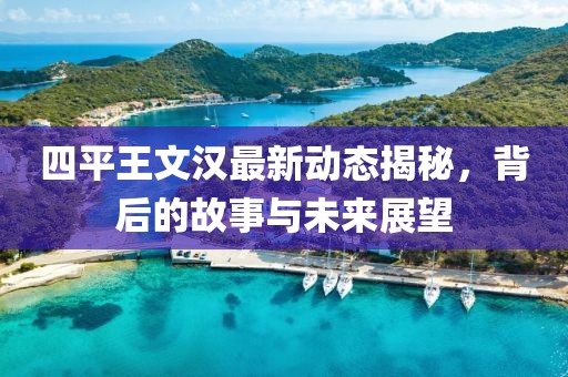 四平王文漢最新動(dòng)態(tài)揭秘，背后的故事與未來(lái)展望