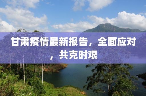 甘肅疫情最新報(bào)告，全面應(yīng)對(duì)，共克時(shí)艱
