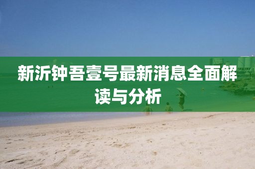 新沂鐘吾壹號(hào)最新消息全面解讀與分析
