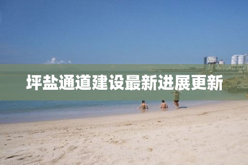 坪鹽通道建設(shè)最新進(jìn)展更新